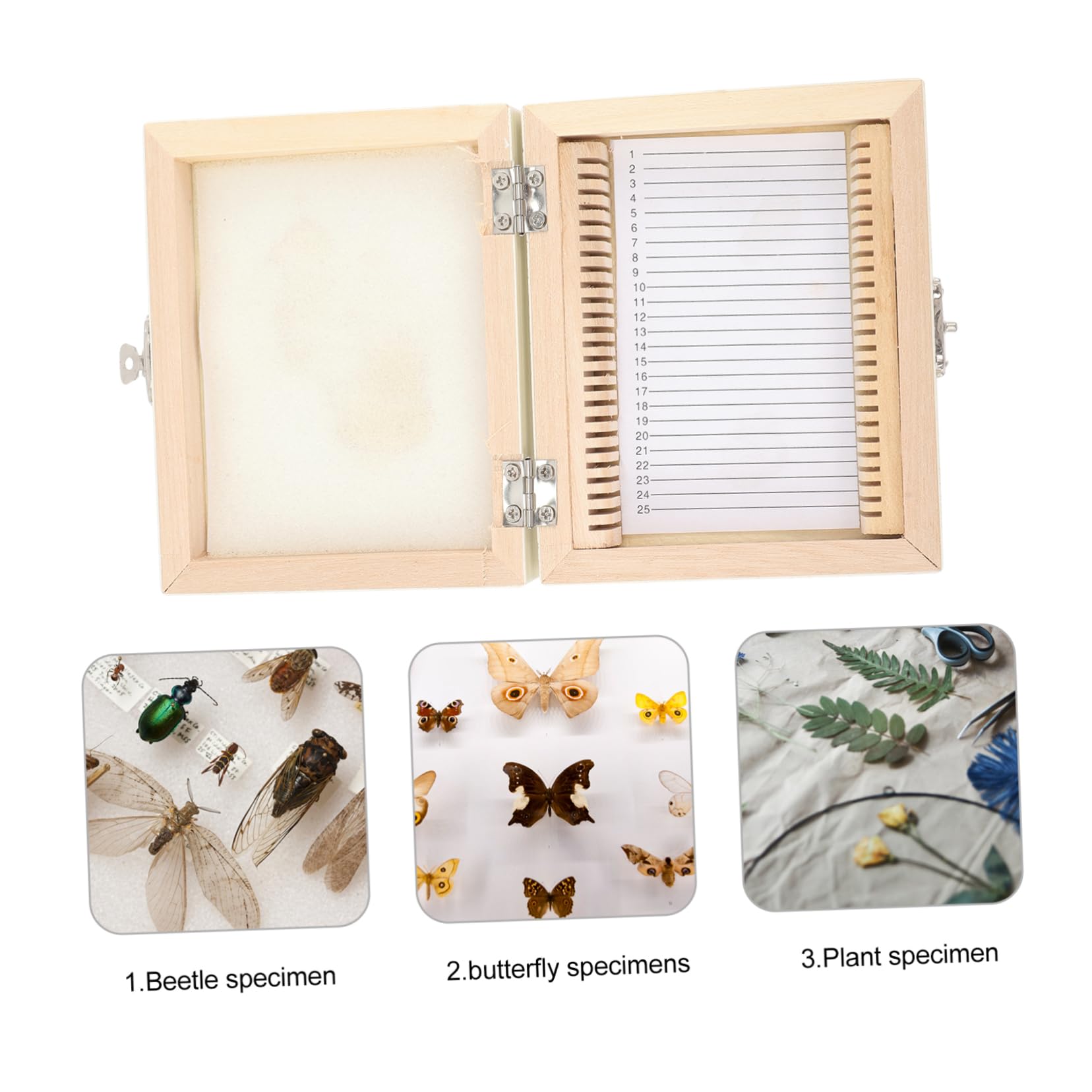 PRETYZOOM 3Er-Packung Biologische Slice-Box vorbereitet Container Lagerung Kästen für Mikroskop-Objektträger werkzeug Mikroskop -Schleifbehälter Halter für Mikroskop-Objektträger Holz Beige