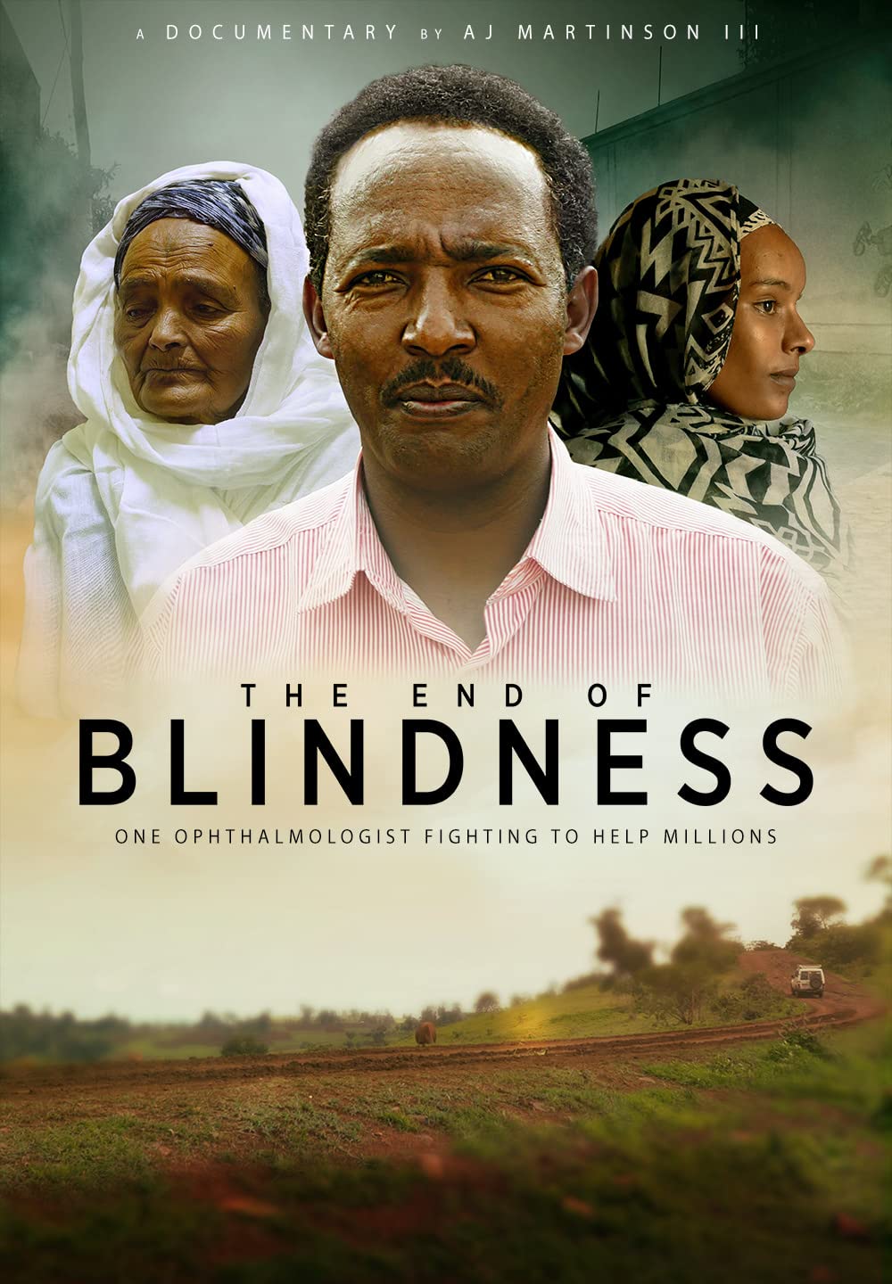 Cover of The End of Blindness