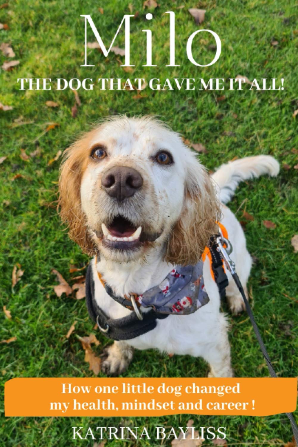 Milo, The Dog That Gave Me It All!