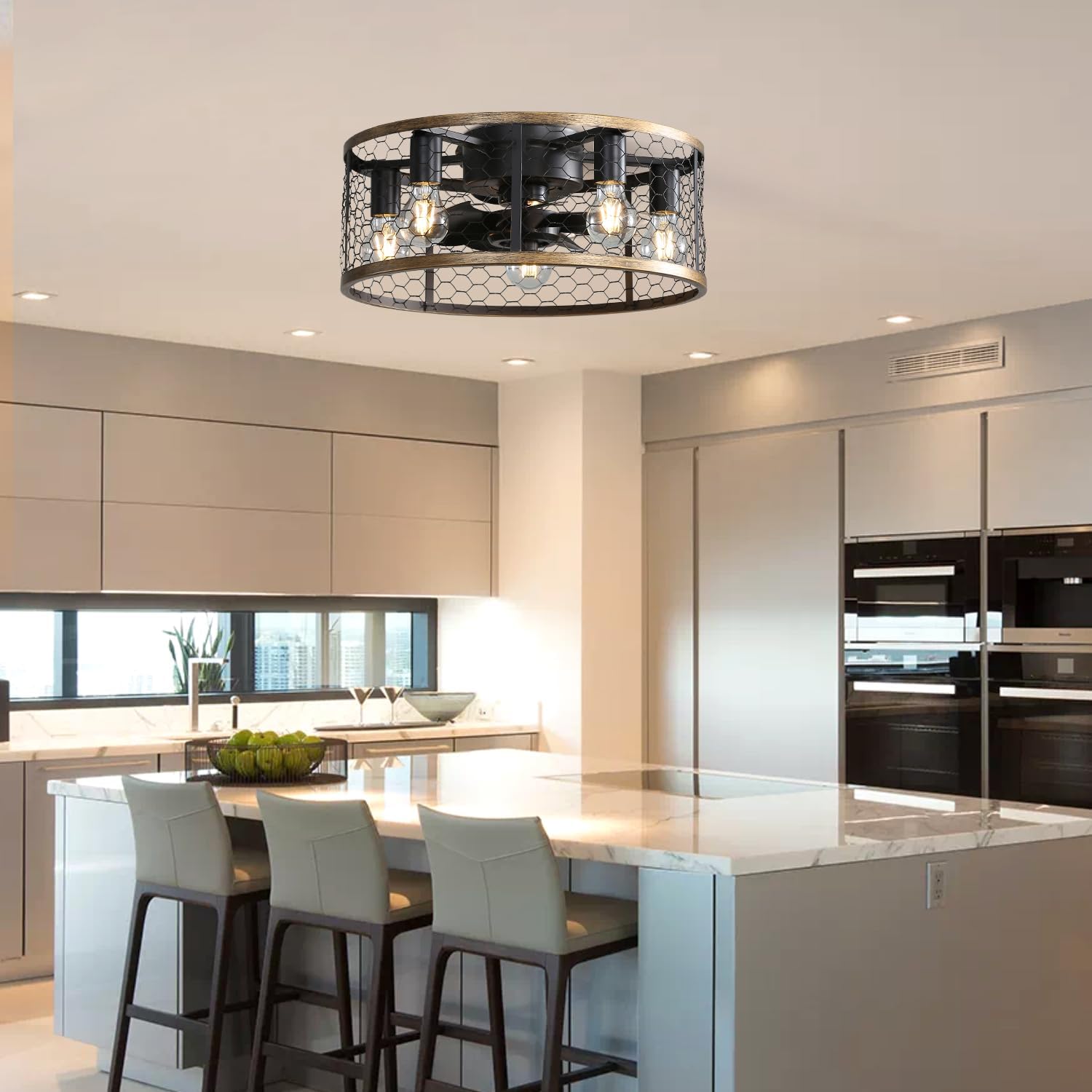 20 Inch Indoor Caged Ceiling Fan with Light Remote Control LED Bulb Ceiling Fan, Industrial Style, 3 Speeds