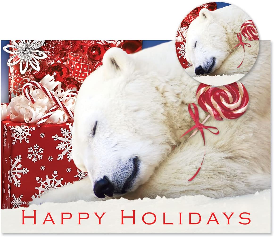Colorful Images Polar Bear Christmas Cards- 24 Festive Greeting cards With Envelope Seals