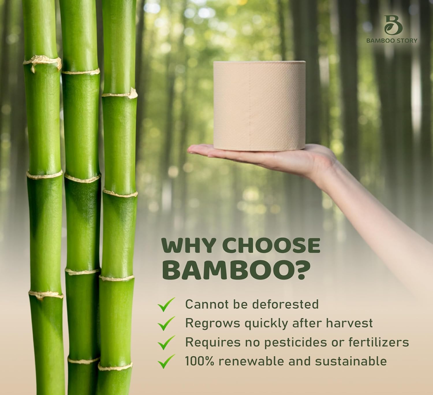 Bamboo Story, Bamboo Toilet Paper Unbleached, 48 Rolls, 3 Ply and 300 Sheets Bamboo Toilet Tissue - FSC Certified, Biodegradable, Chemical Free, Plastic Free, BPA Free, Septic Safe Toilet Paper
