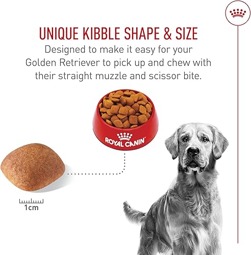 Miniatura 6 de Royal Canin Golden Retriever - Alimento seco para perros adultos, bolsa de 17 libras
