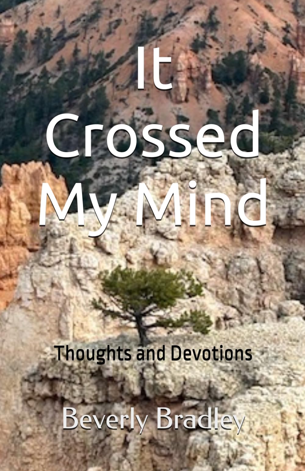 It Crossed My Mind: Thoughts and Devotions