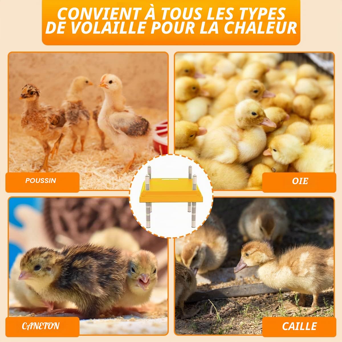 Plaque Chauffante pour Poussins, Lampe Chauffante pour Poussins avec Hauteur et Angle Réglables, Plaque Chauffante pour l'élevage de 15-20 Poussins, pour l'Élevage de Poussins, 25x25 cm