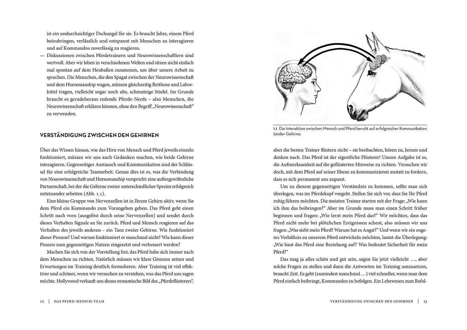 Horse Brain, Human Brain: Erkenntnisse aus der Neurowissenschaft - Wie Pferd und Mensch denken, fühlen, handeln