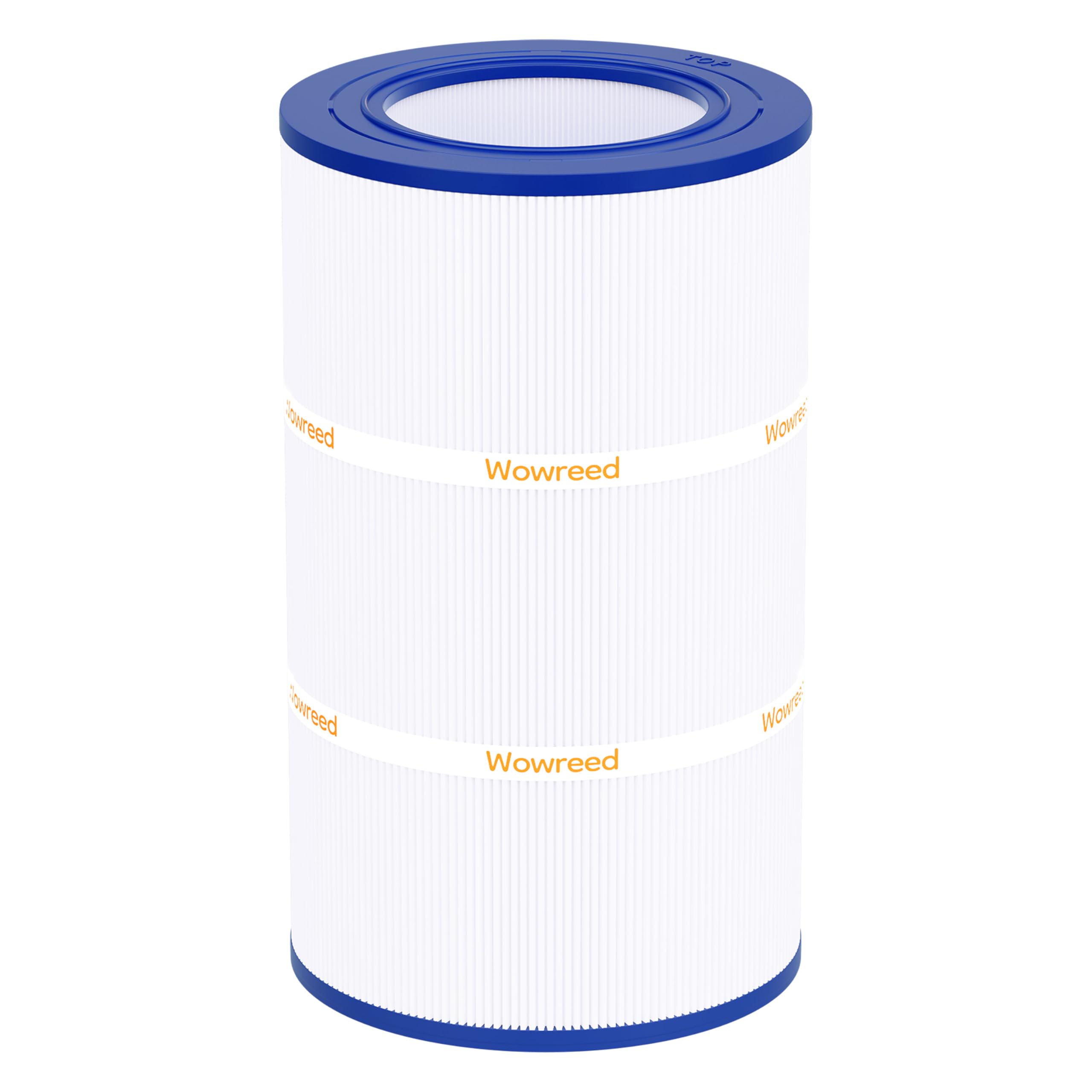 Pool Filter Compatible with PAP75, Clean&Clear CC75, CC75, C-9407, FC-0685, SP75, 59054100,1 PackF