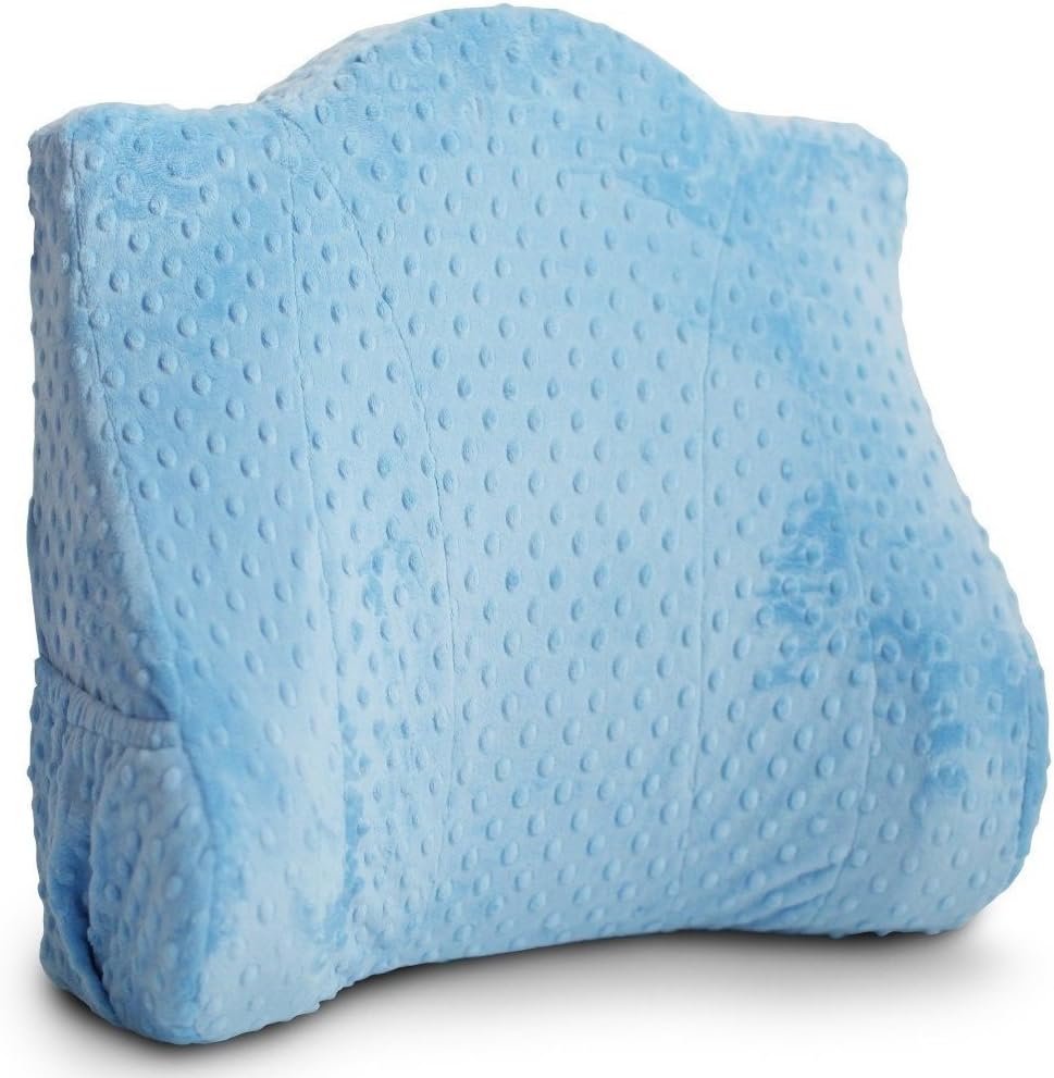 Back Buddy Support Pillow for Pregnancy Postpartum Feeding and Back Support, Minky Bentley/Blue Dot