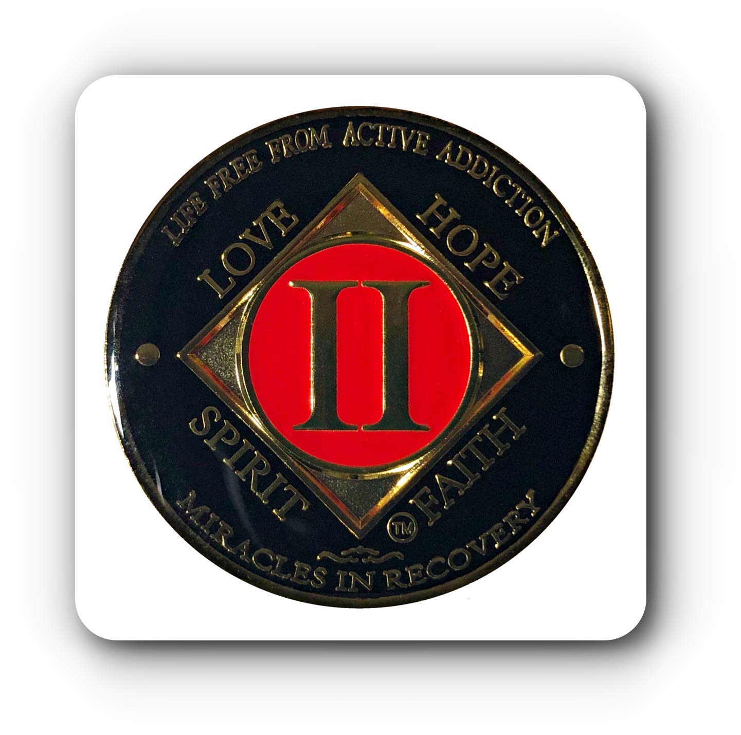 NA 2 Year Gold Color Plated-Medallion, Recovery Chip, 12 Step Token, Narcotics Anonymous Coin