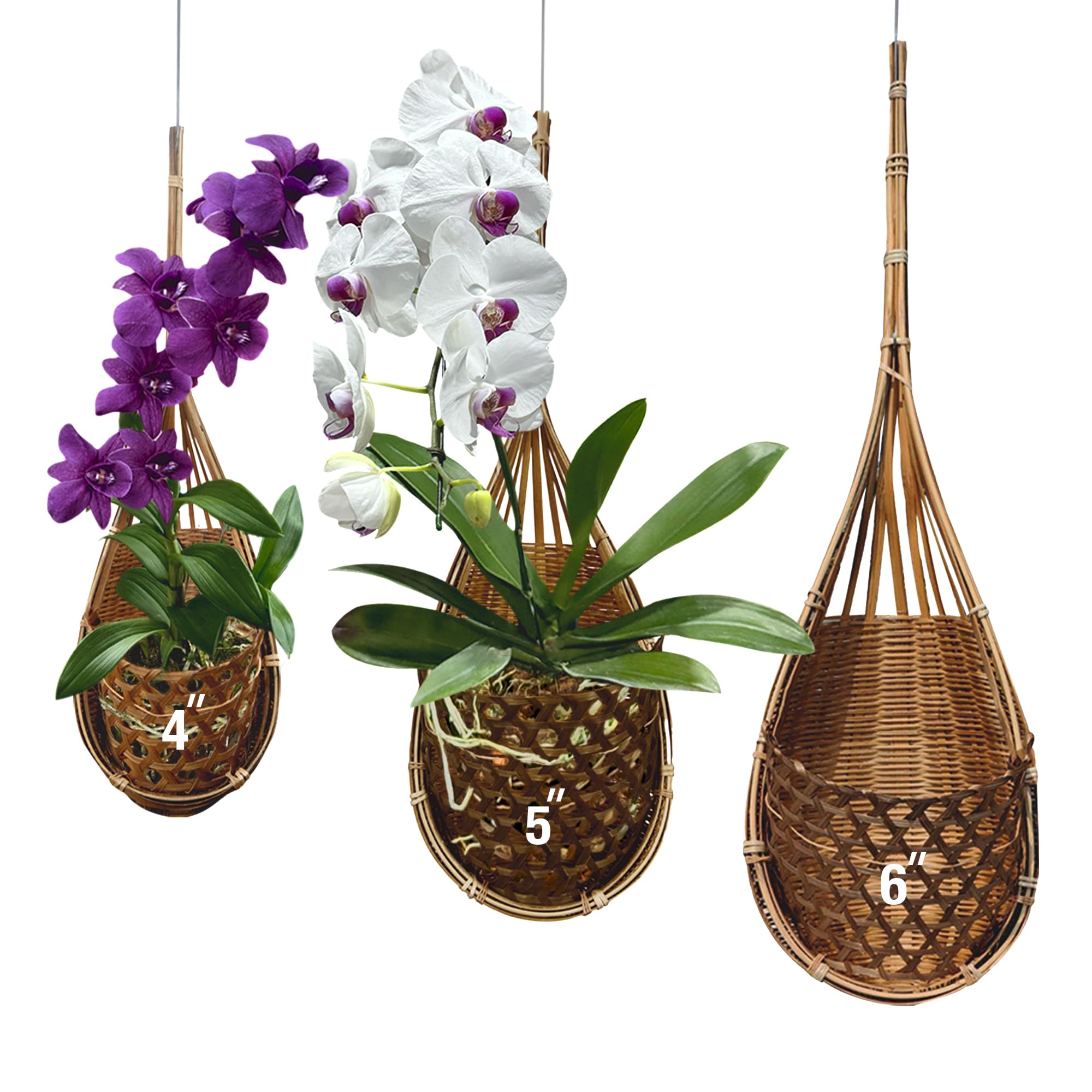 PANWA Handmade Thai Bamboo Hanging Orchid Basket