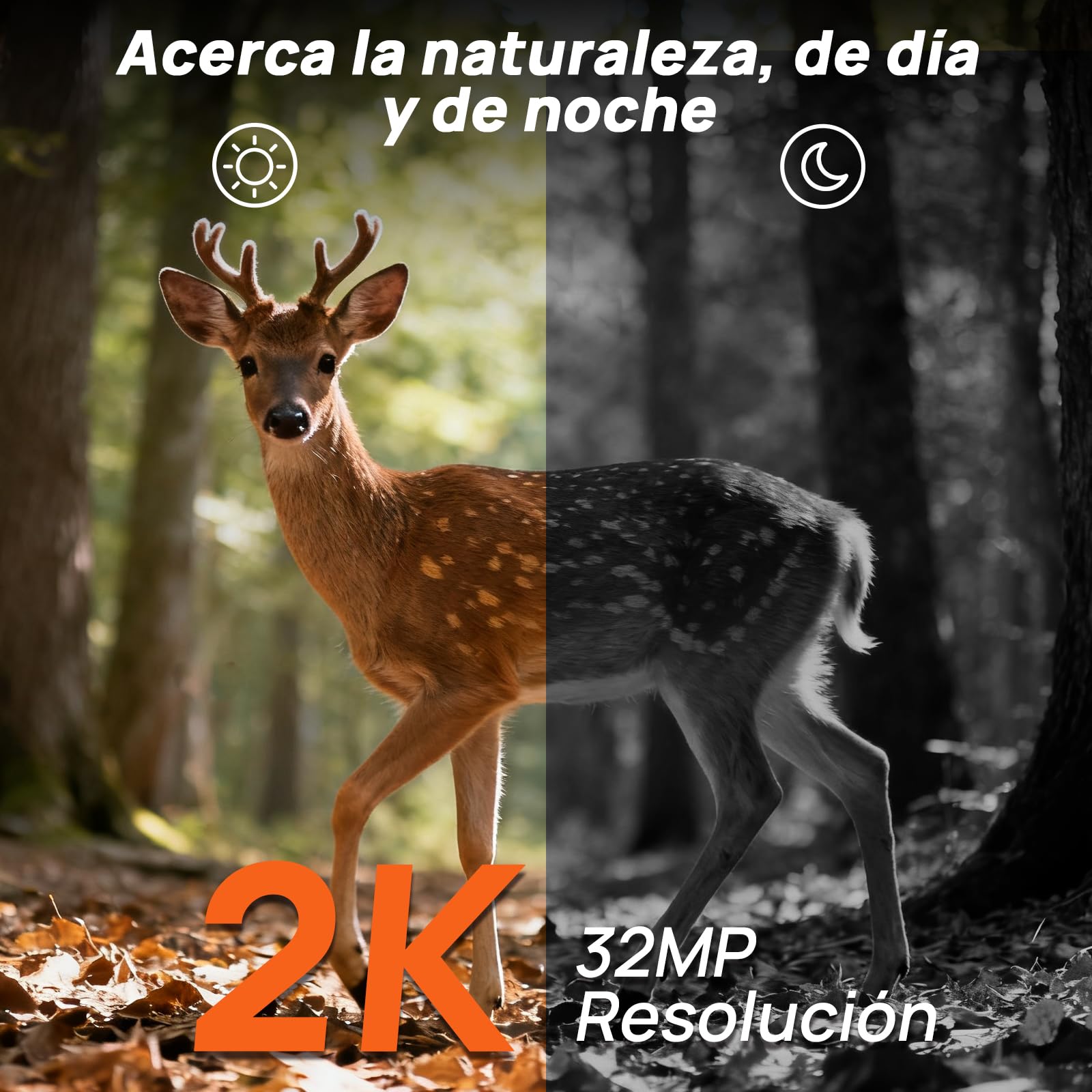 iZEEKER 2 en 1 Cámara de Caza 4G LTE 2K HD 48MP, Cámara Fototrampeo con App, Visión Nocturna Infrarroja, Detector de Movimiento, Cámara de Animales Salvajes IP66 Resistente al Agua