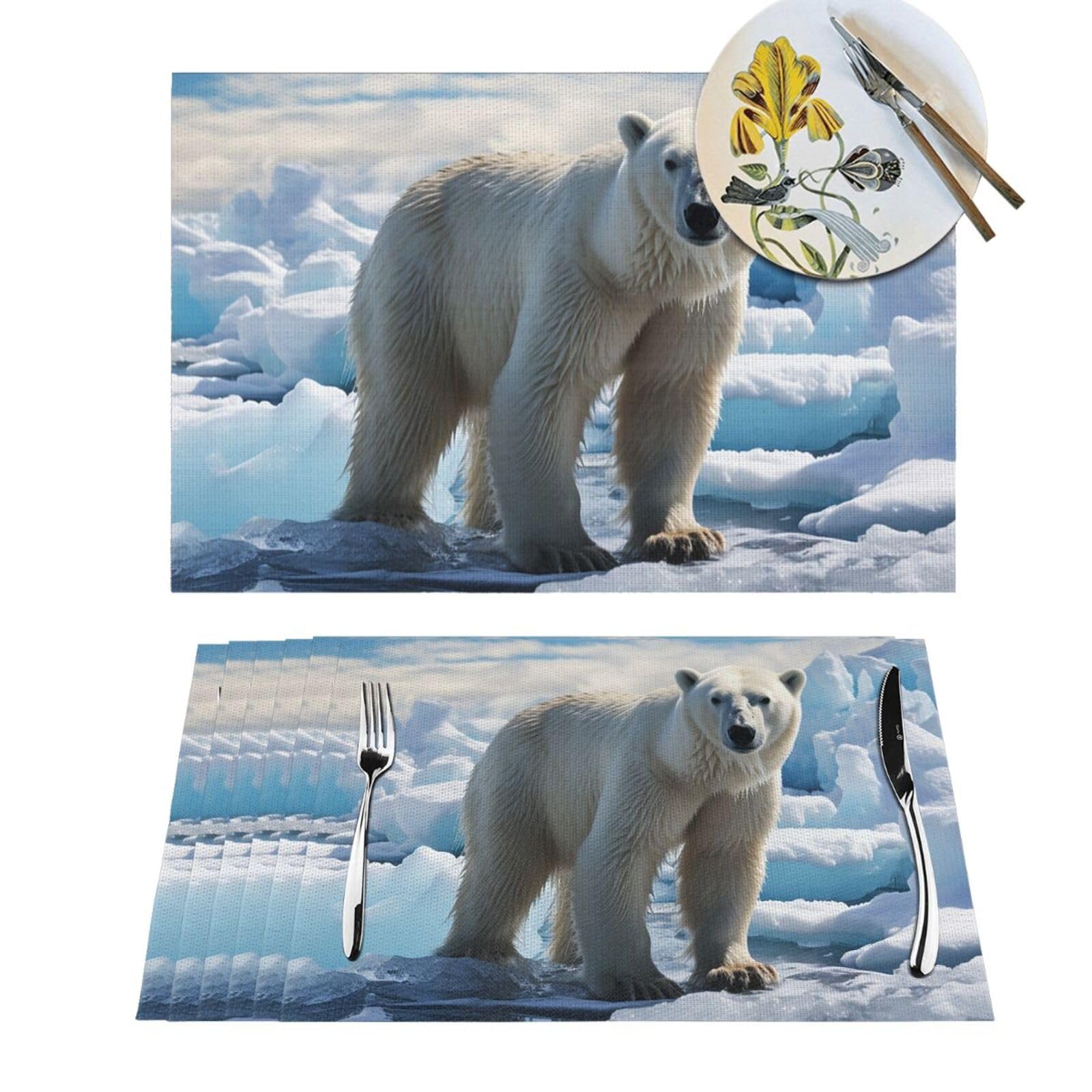 Sets de table antidérapants et résistants à la chaleur lot de 6 PVC