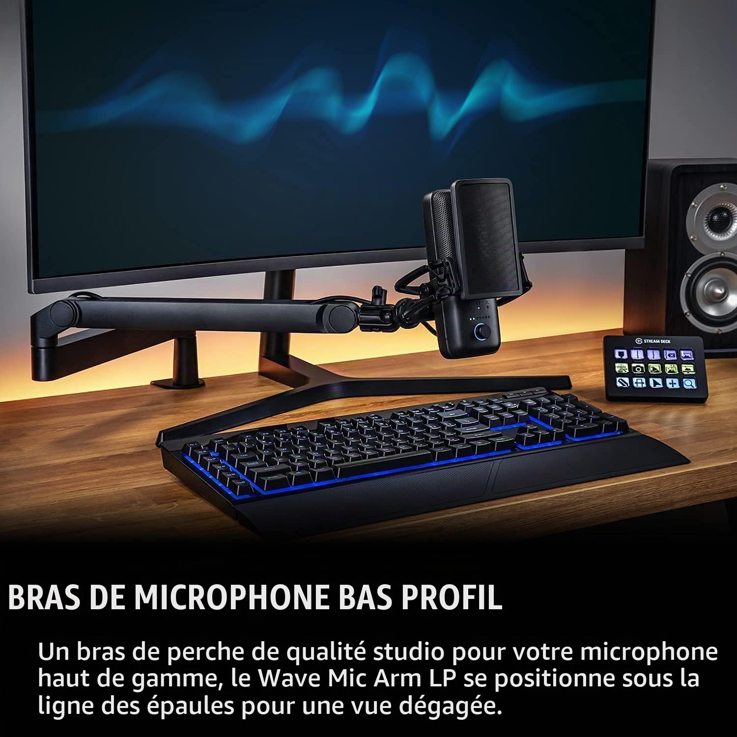 Elgato Wave DX avec Perche de Micro Low Profile, entièrement réglable, passe-câbles, Micro XLR dynamique, optimisation des voix pour podcast, streaming et plus, booster de signal non requis, Mac et PC