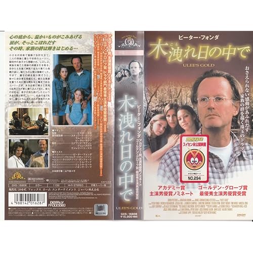 木洩れ日の中で