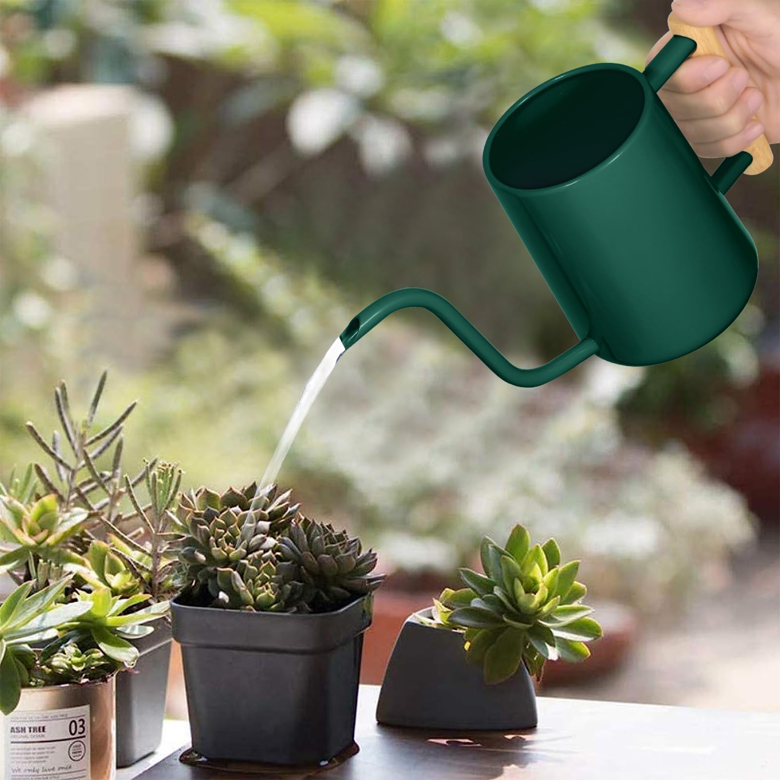 Gießkanne für Zimmerpflanzen, 1000 ml, Metall, Edelstahl, Gießkanne mit langem Auslauf für Zimmerpflanzen, Bonsai, Garten, Blumen, dekorativ, Alpinegreen