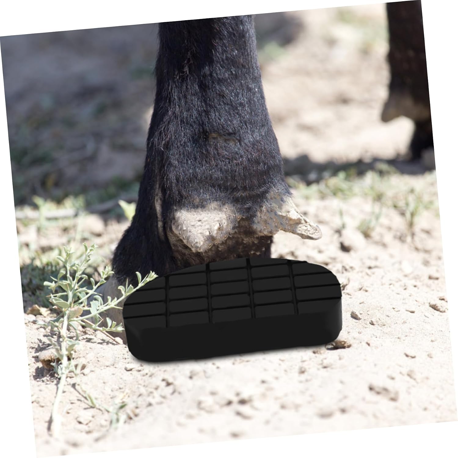 GANAZONO Rubber Hoof Pads for Cattle Soft Protective Pads for Horse Hoof Care Glue Essential Pasture Tool