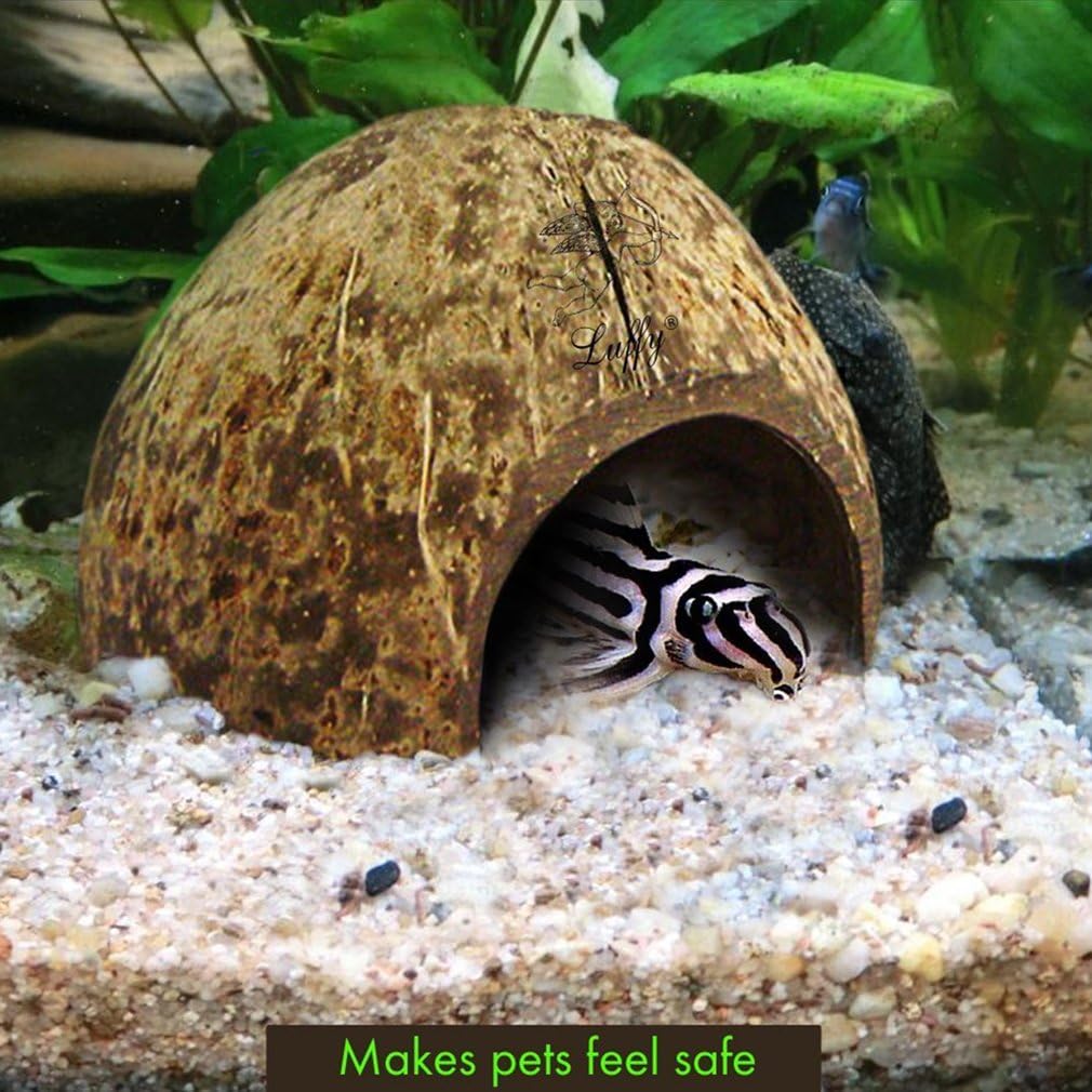 SunGrow Coco Hut for Pets, 5x3 Inches, Smooth-edged Coconut Shell, Compact, Spacious, Perfect Hideout for Your Fish, 1 Piece