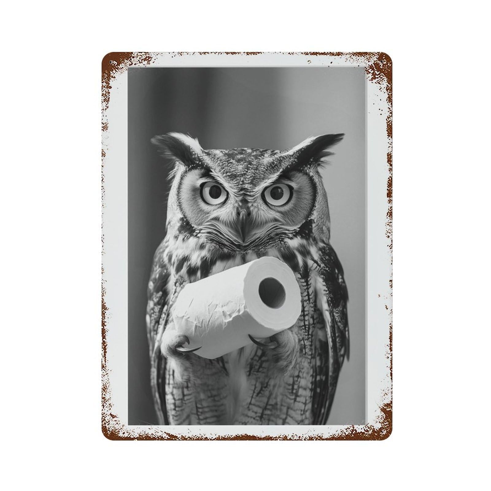 xiaoxiaoshen Owl Photography S Wall Decor Art Metal Tin Poster Modern Home Decor Art Home Bar Shop Decorations Vintage Sign 40x30cm