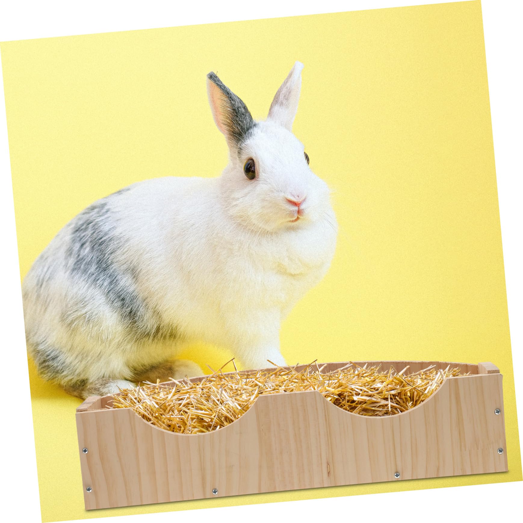 Hasengestell mit Aufbewahrungsnut und Holzfutter Großer Futternapf zum Aufhängen mit Fixator für Kaninchen und Hamster Einfach zu Verwenden