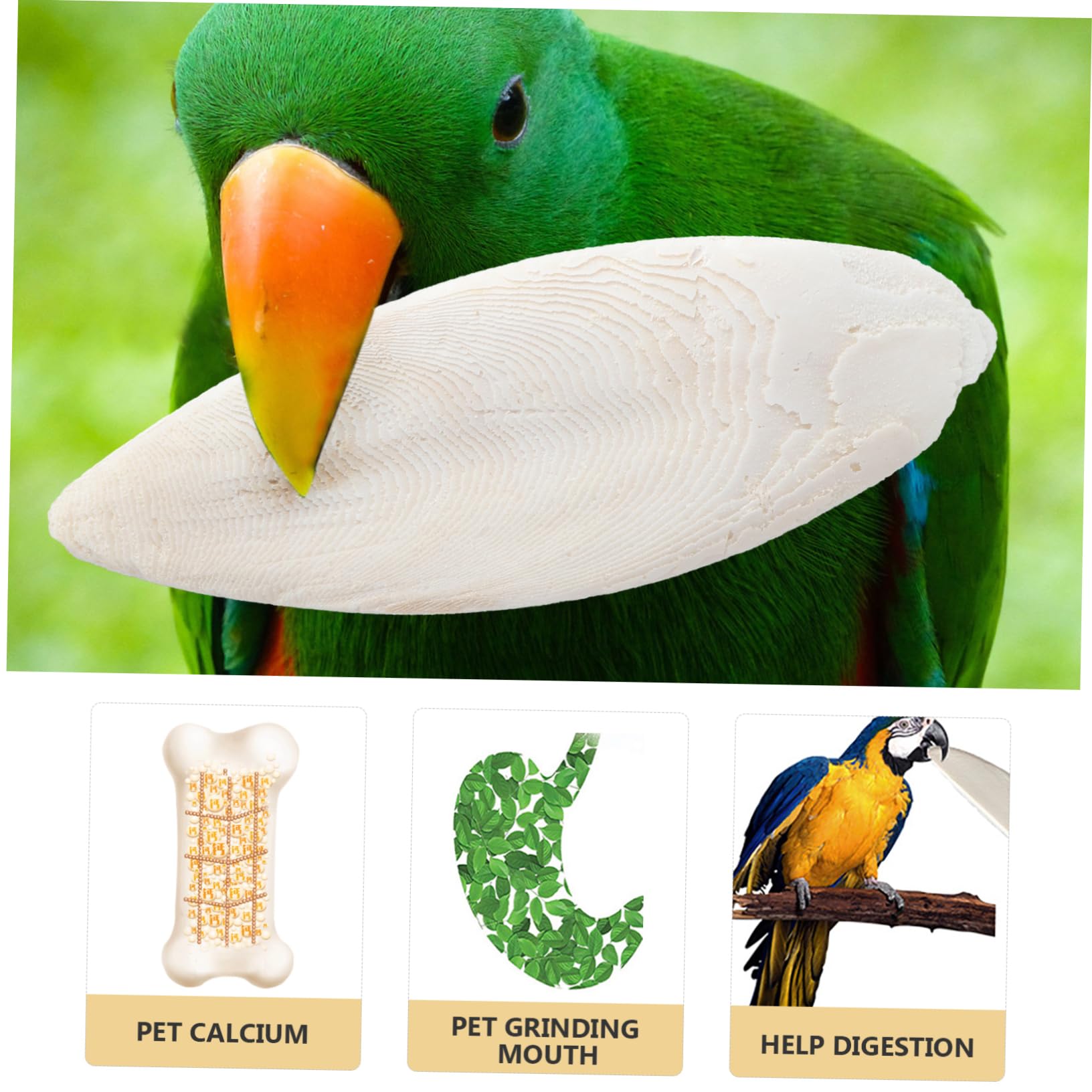 POPETPOP 24stücke Cuttlebone Kauspielzeug Für Haustiere Zahnpflege Und Training Für Hunde Katzen Papageien Und Andere Kleintiere Sicheres Und Natürliches Material