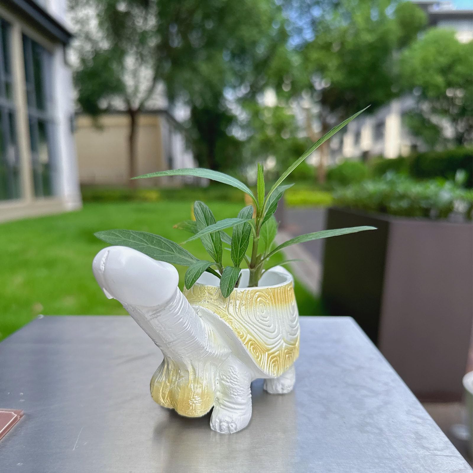 Penis Turtle Planter Turtle Flower Pot Mischievous Joke Gift Indoor and Outdoor Garden Decoration