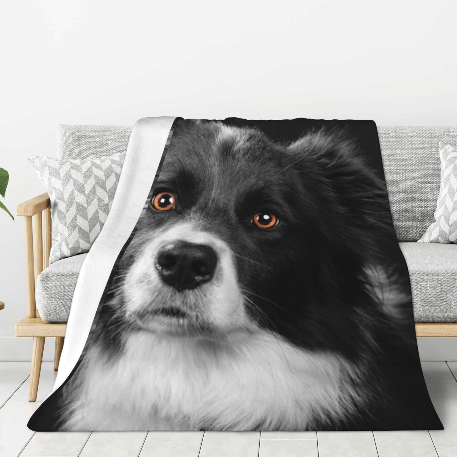 Hnnkloy Border Collie Dog Pet,Throw Blanket Warm Flannel Plush Soft Sofa Blanket As Bed Cover/Bed Sheets,80"x60"