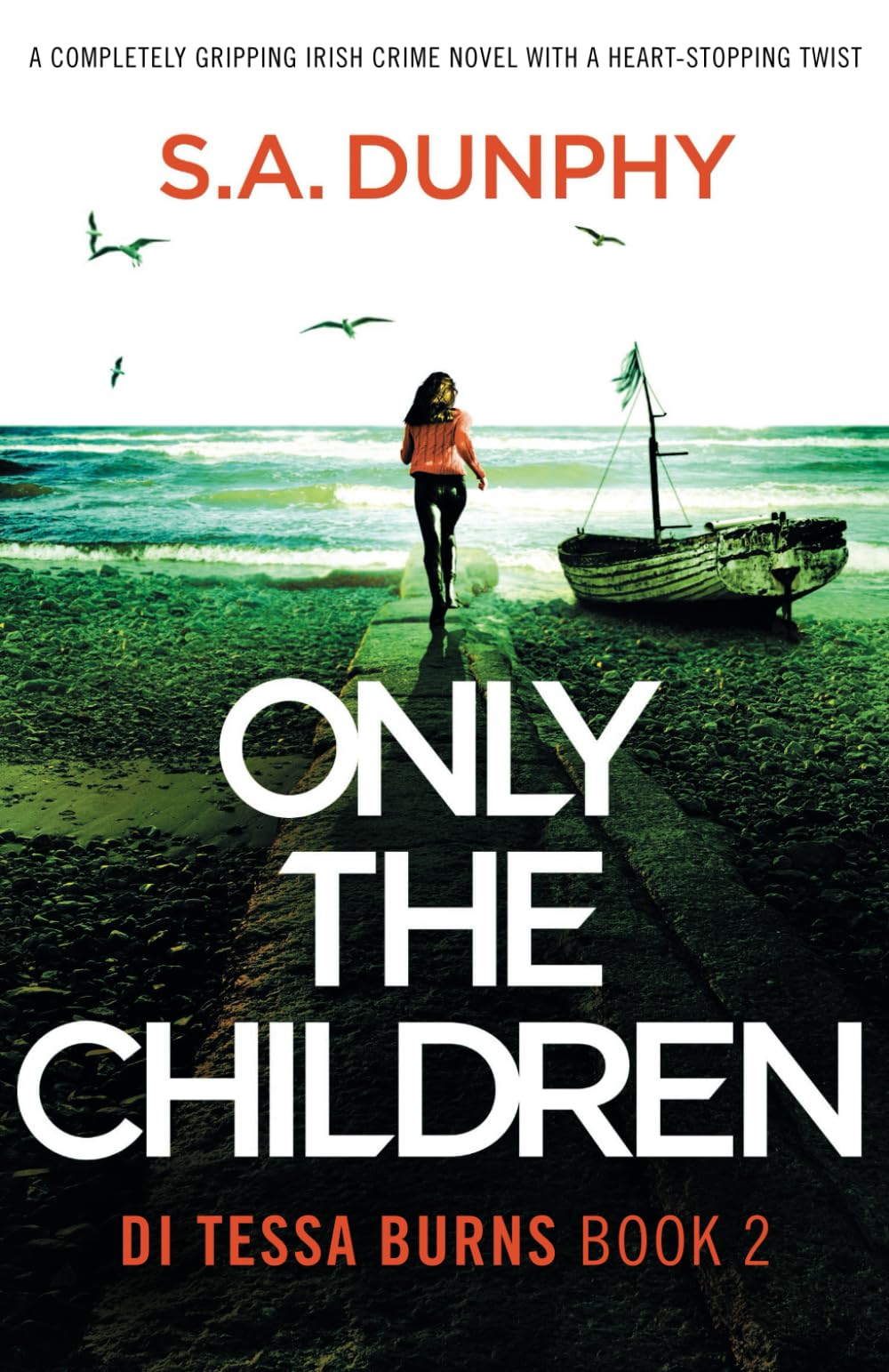 Only the Children: A completely gripping Irish crime novel with a heart-stopping twist: 2 (Detective Tessa Burns)