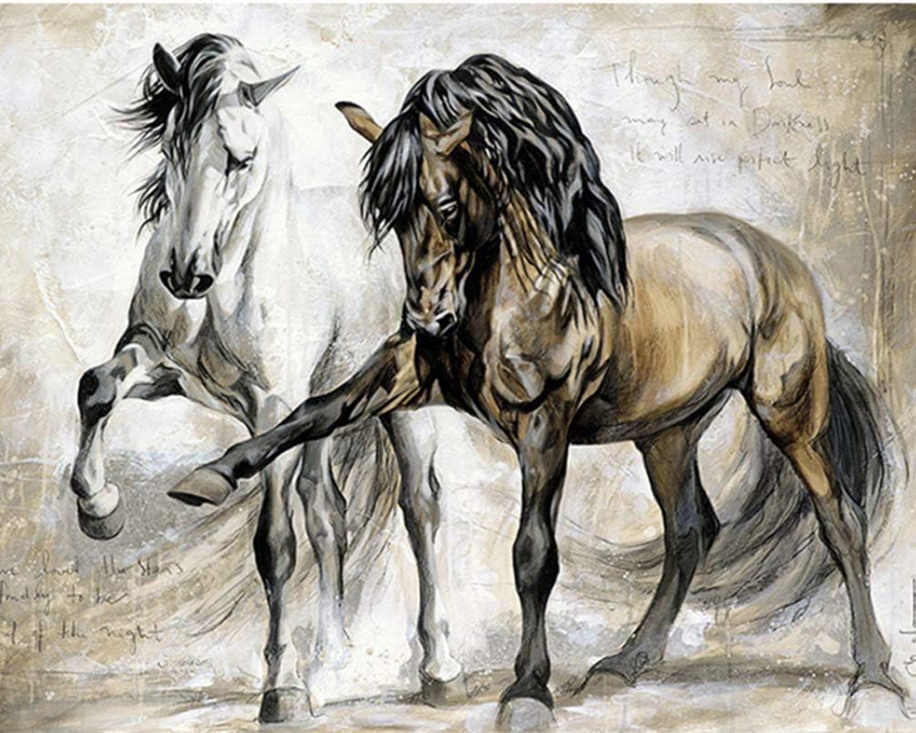 PPTRTYQ Painting by Numbers for Adults & Children - Two Horses 16 x 20 Inch Linen Canvas - DIY Oil Paint Kit - Unframed
