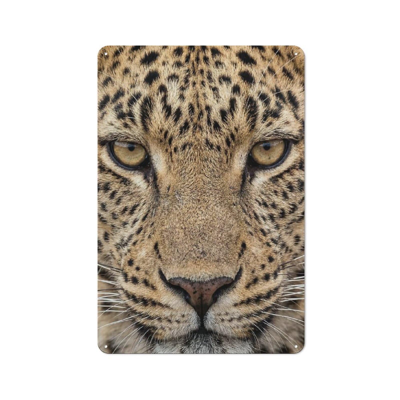 Junmoney Style-19 Tin Sign 30X20cm With Leopard Face Close-Up For Living Room Wall, Rustic Decor, For Living Room Decor Lovers