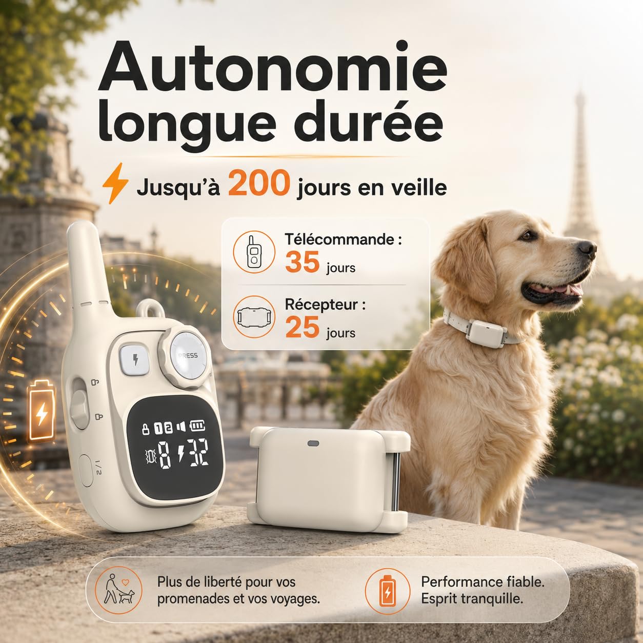 Collier de Dressage Chien, Collier électrique Chien avec Télécommande (portée de 550 m), Réglable et Rechargeable, Adapté Aux Petits Chiens et Chiots ou Aux Chiens Taille Moyenne à Grande (Beige)