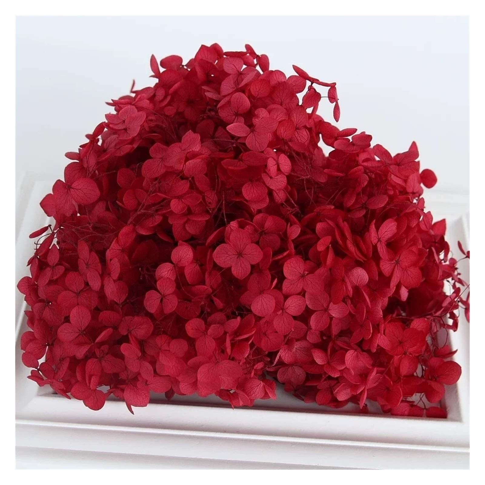 Fleurs séchées éternelles hortensia rouge Anna 5g le souvenir intemporel de votre mariage