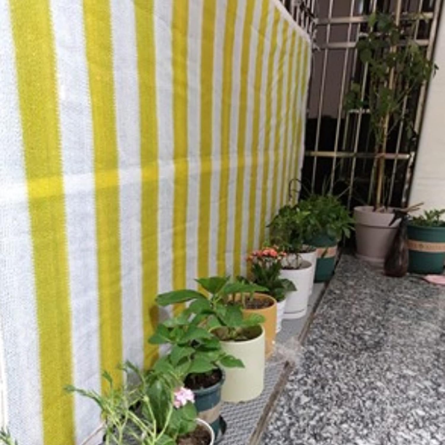 夢原のぞみ Loppi ロッピー 缶バッジ 10点セット