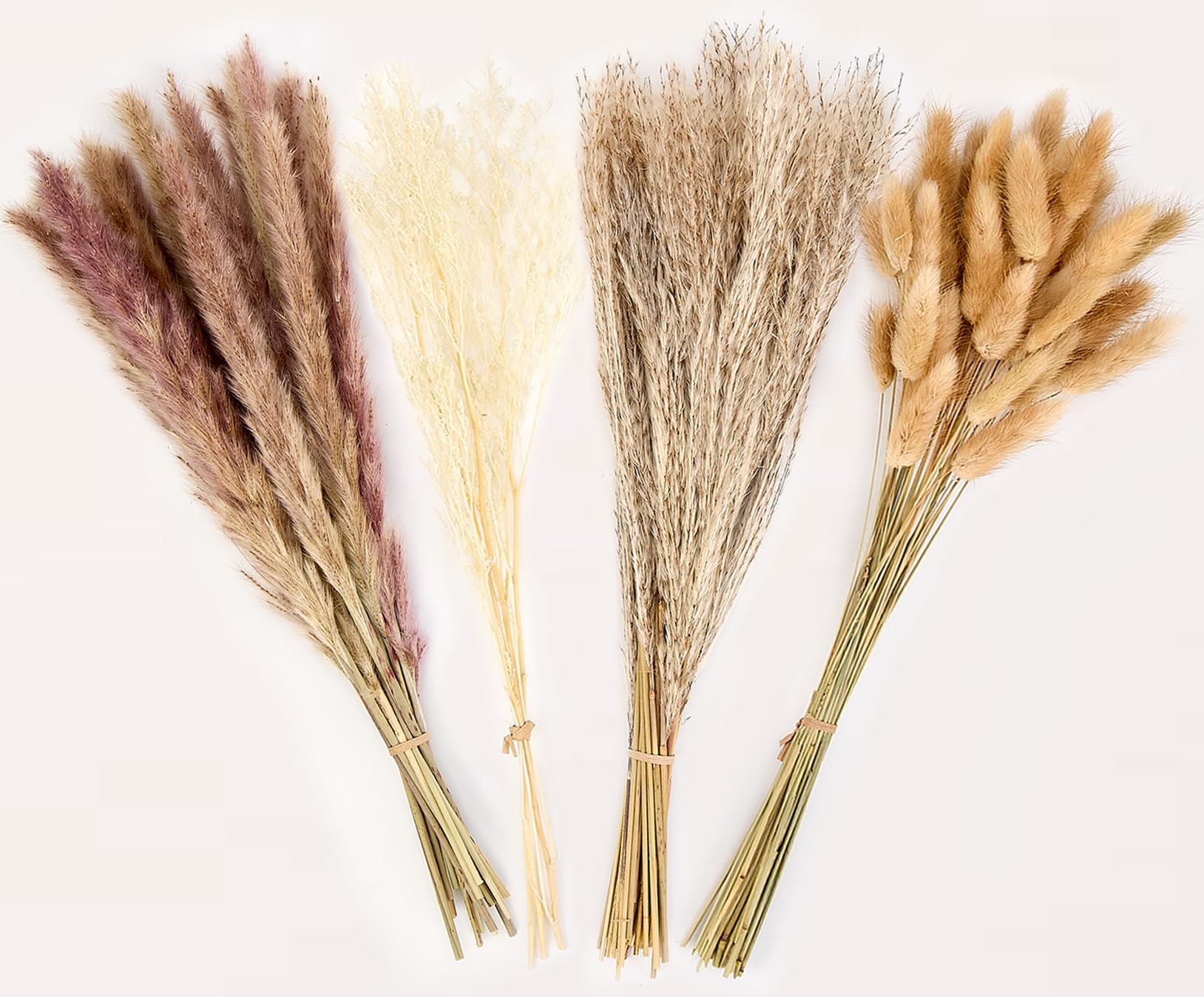 Luvano 100 Pcs Pampas Grass Boho Decor - dried and preserved flora | Mubboo