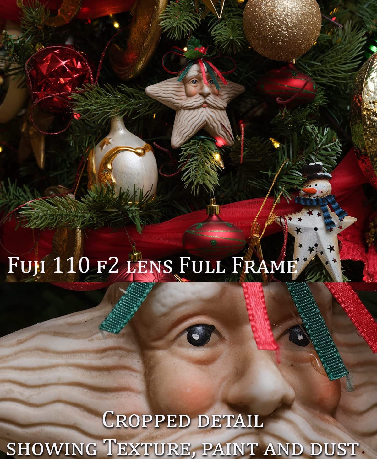 Spectacular lens, chose this over the macro 120