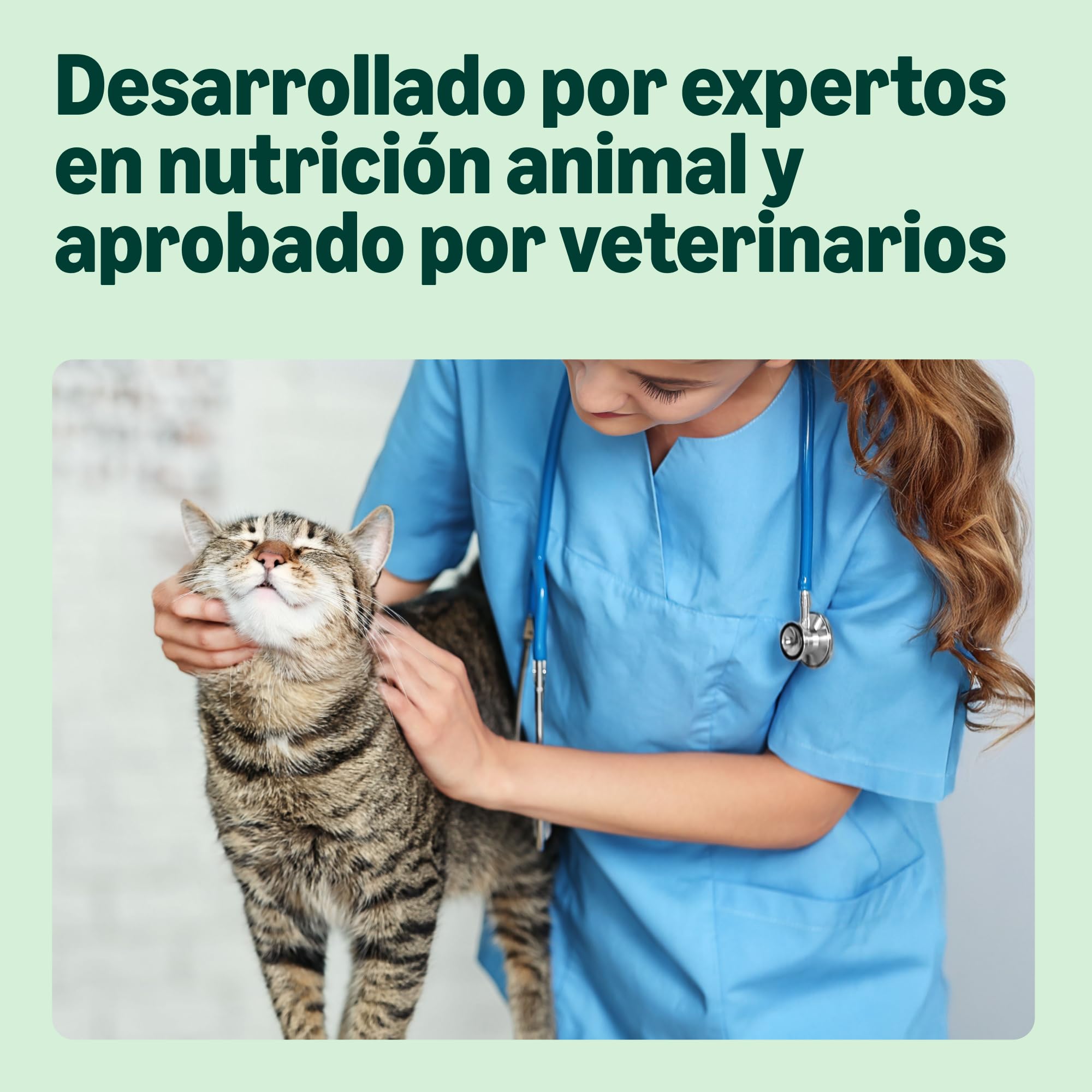 by Amazon - Alimento seco completo para gatos adultos con pollo, pavo y verduras, 1 Pack de 3 kg