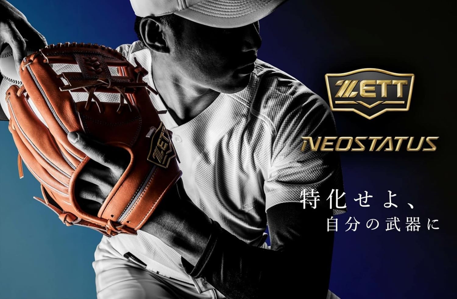 WORKSBELL x ライクワイズ rapfix GTC 限定品 86 BRZ