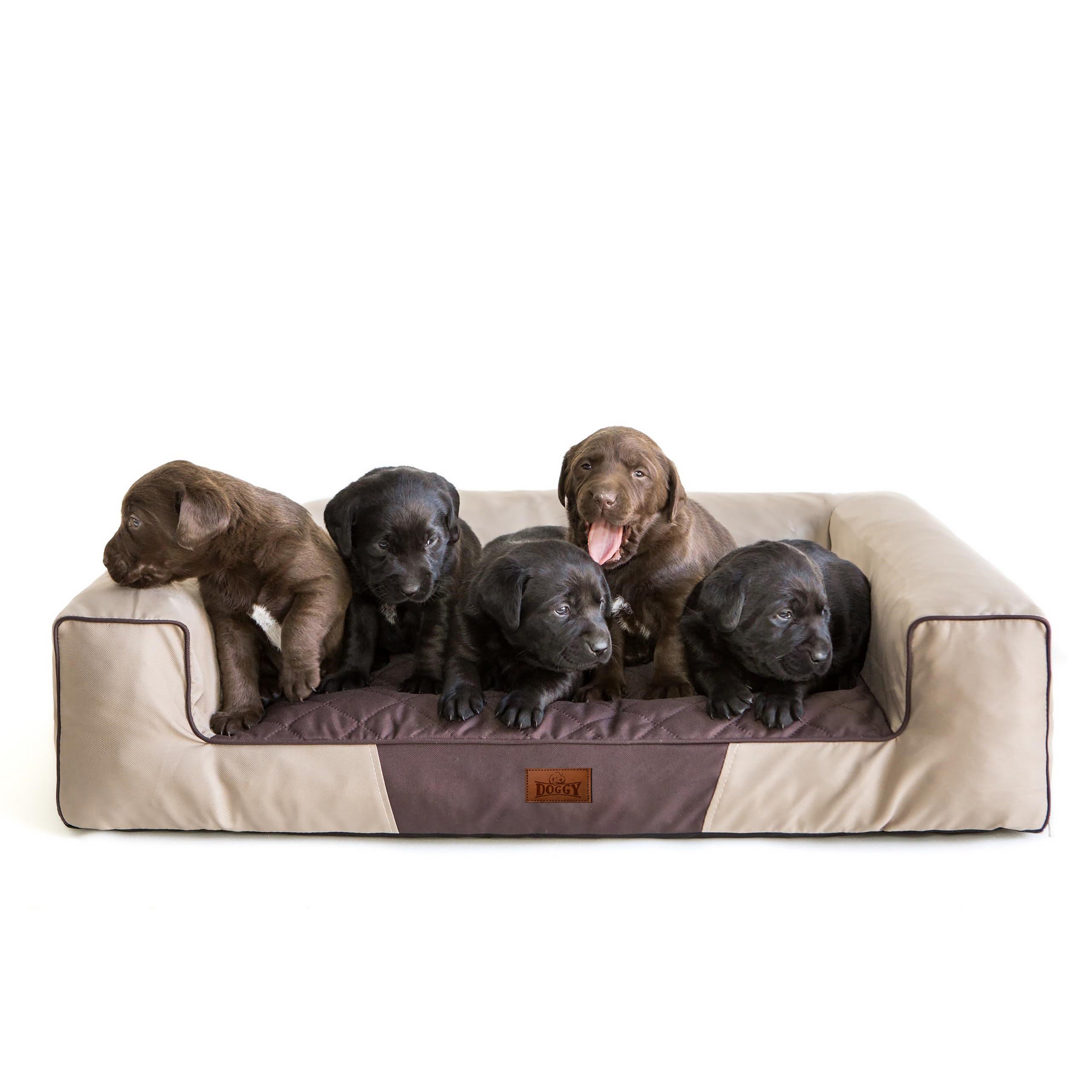 Cuccia per animali domestici, cuscino per cani, cuscino per cani, letto per cani, letto per cani, divano per cani, materasso per cani, beige con materasso marrone, L - 80 x 55 cm