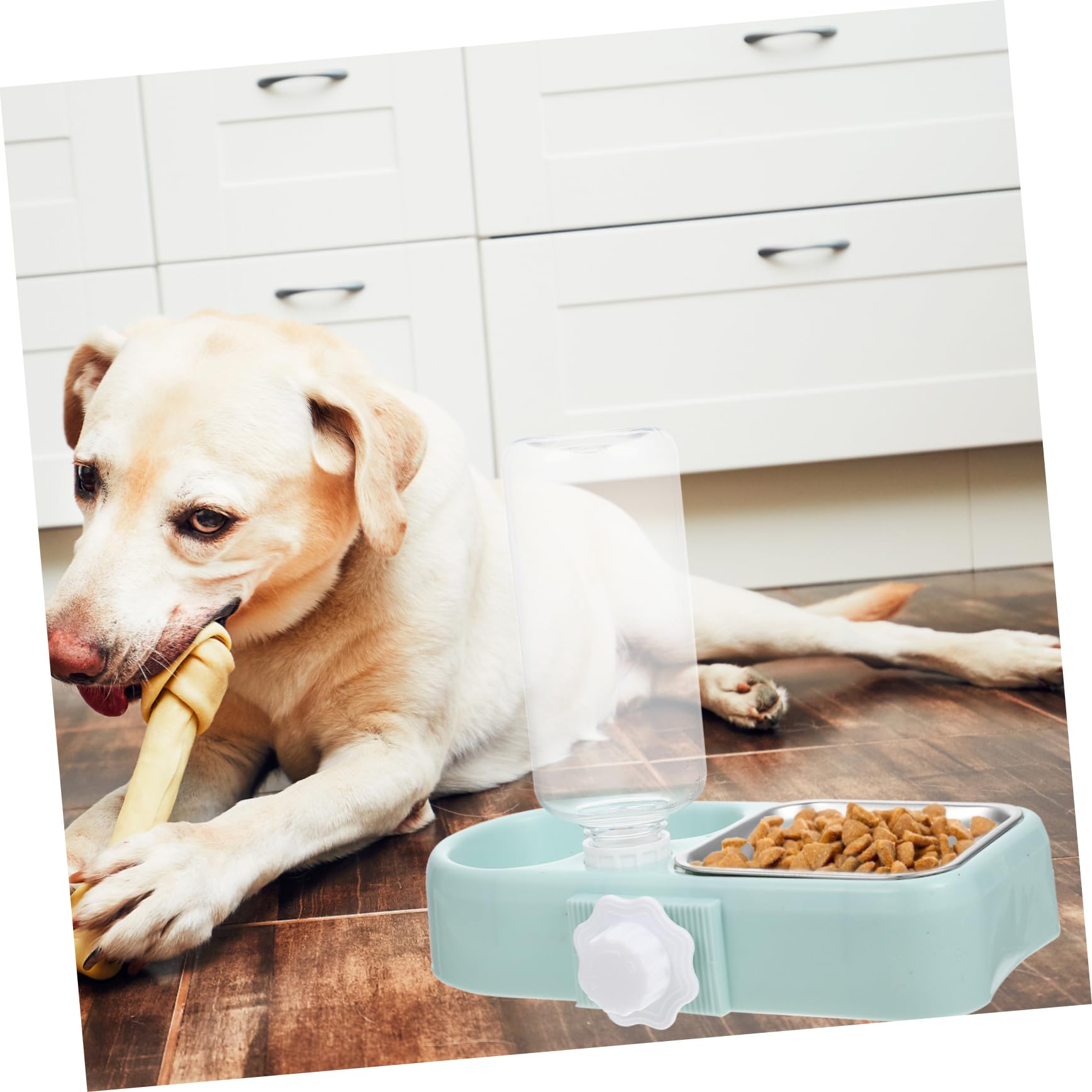 minkissy 4 juegos de cuencos colgantes para mascotas, comedero desmontable para mascotas, comedero para perros, comedero automático para mascotas, cuenco para gatos, jaula desmontable para perros,