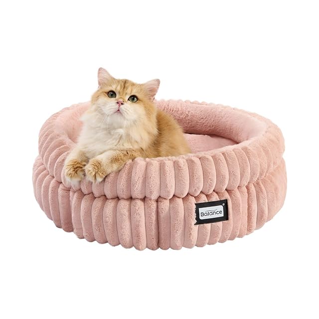 Balance Cama para Gatos, Camas Redondas Lavables para Gatos de Interior