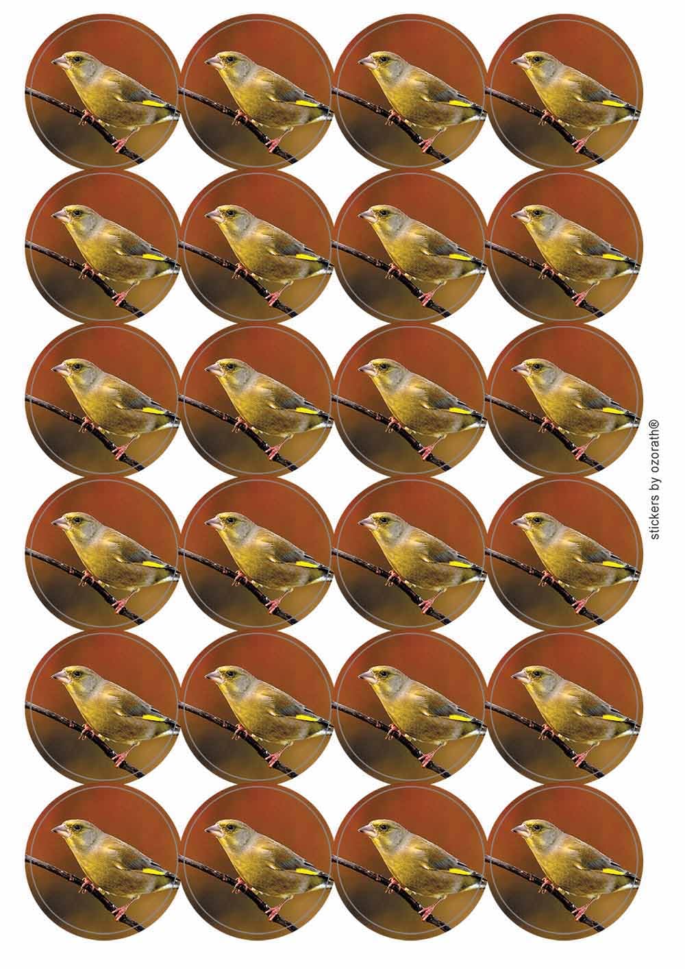Ozorath Multicolor Greenfinch Circular Matt Paper Stickers A4 Sheet Of 24 (Each Sticker Is 45Mm Diameter)