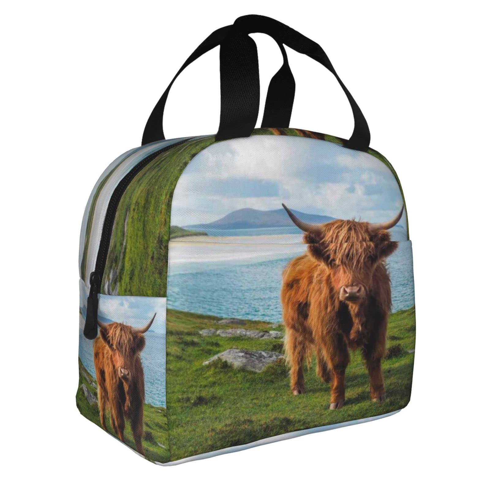 Isolierte Lunchbox Mit Highland Cow Design – Wiederverwendbare Kühltasche Für Schule, Büro & Picknick