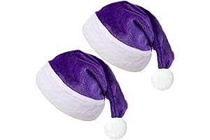 Purple Christmas Santa Hat