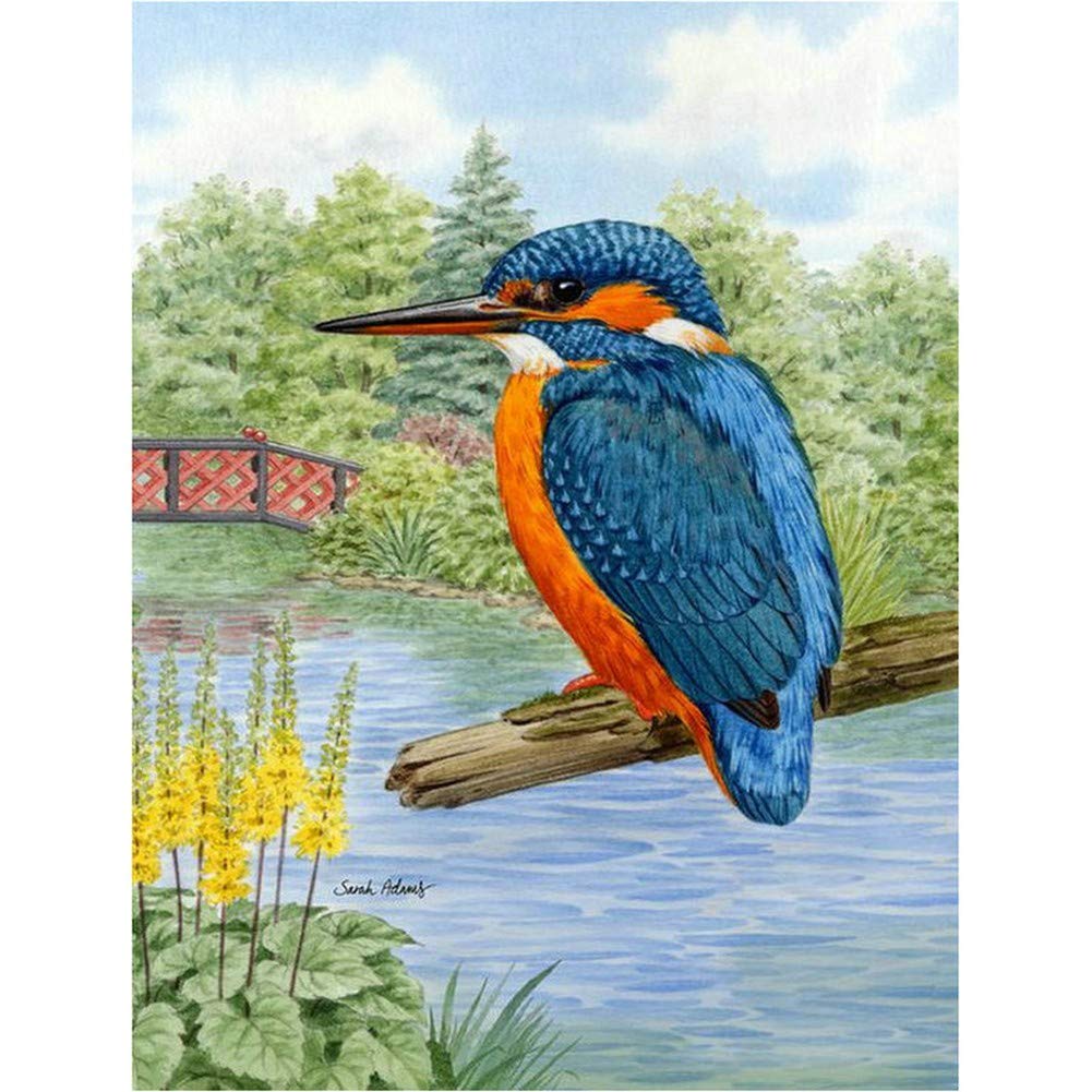 Haojeer 5D Diy Diamond Painting Art Set Kingfisher Square Crystal Rhinestone Full Drill Adults Kids Cross Stitch Embroidery Kits Mosaic Canvas Wall For Living Room Home Decor Crafts 30X40cm/12X16in C5752