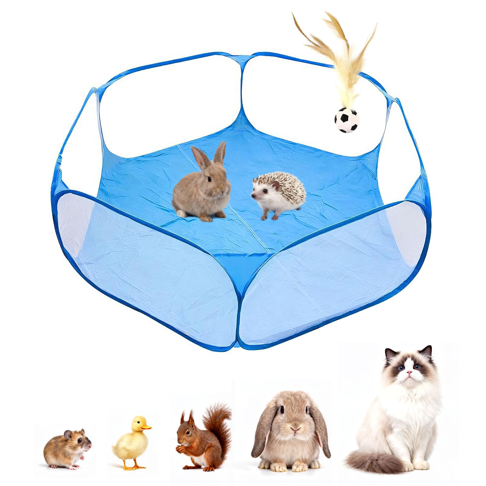 Box per animali domestici di piccola taglia, recinzione portatile da giardino per porcellini d'India, conigli, criceti, cincillà e ricci