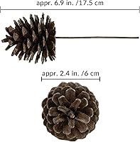 Vista 12 de Winlyn 20 piezas de púas de piña natural esmeriladas, adornos de piñas de pino con punta blanca con tallos de alambre de 6.9 pulgadas de alto