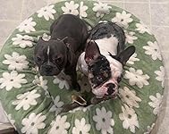 Review Image by Peggy B. Peggy B.