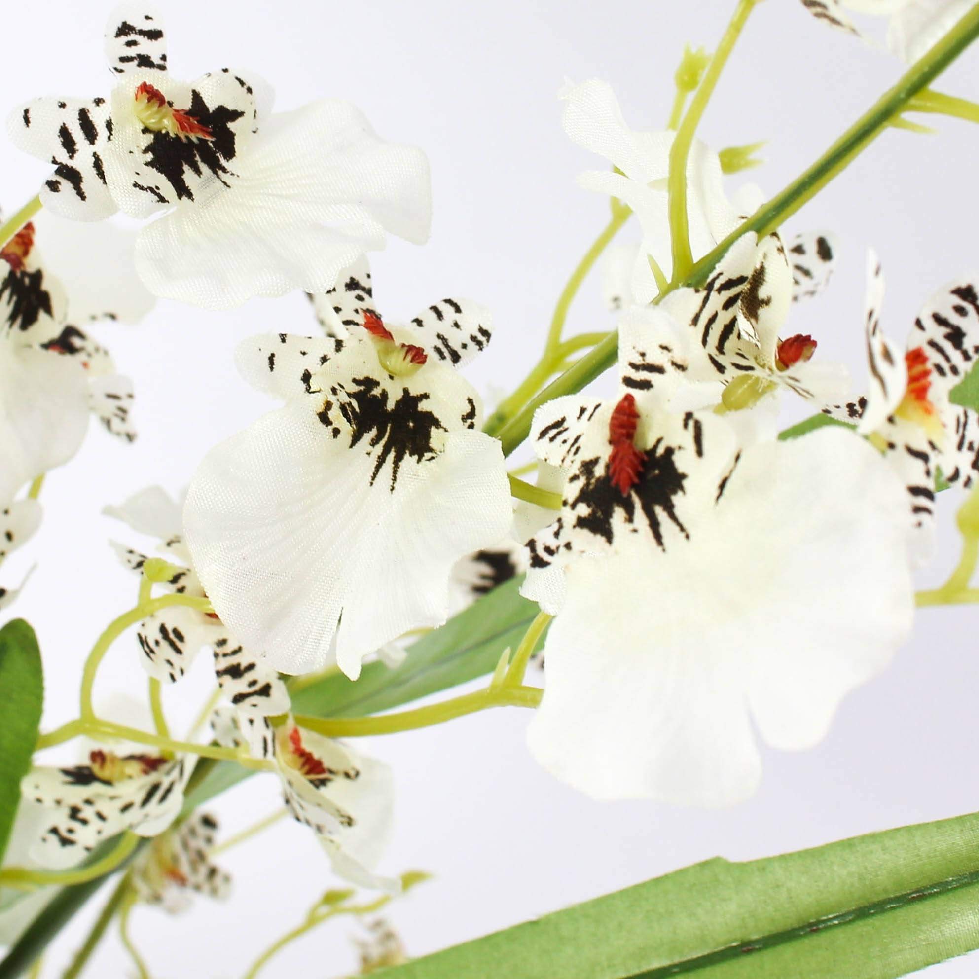 Ramo di orchidea oncidium artificiale WIBKE, rosso bordeaux-rosa, 125cm