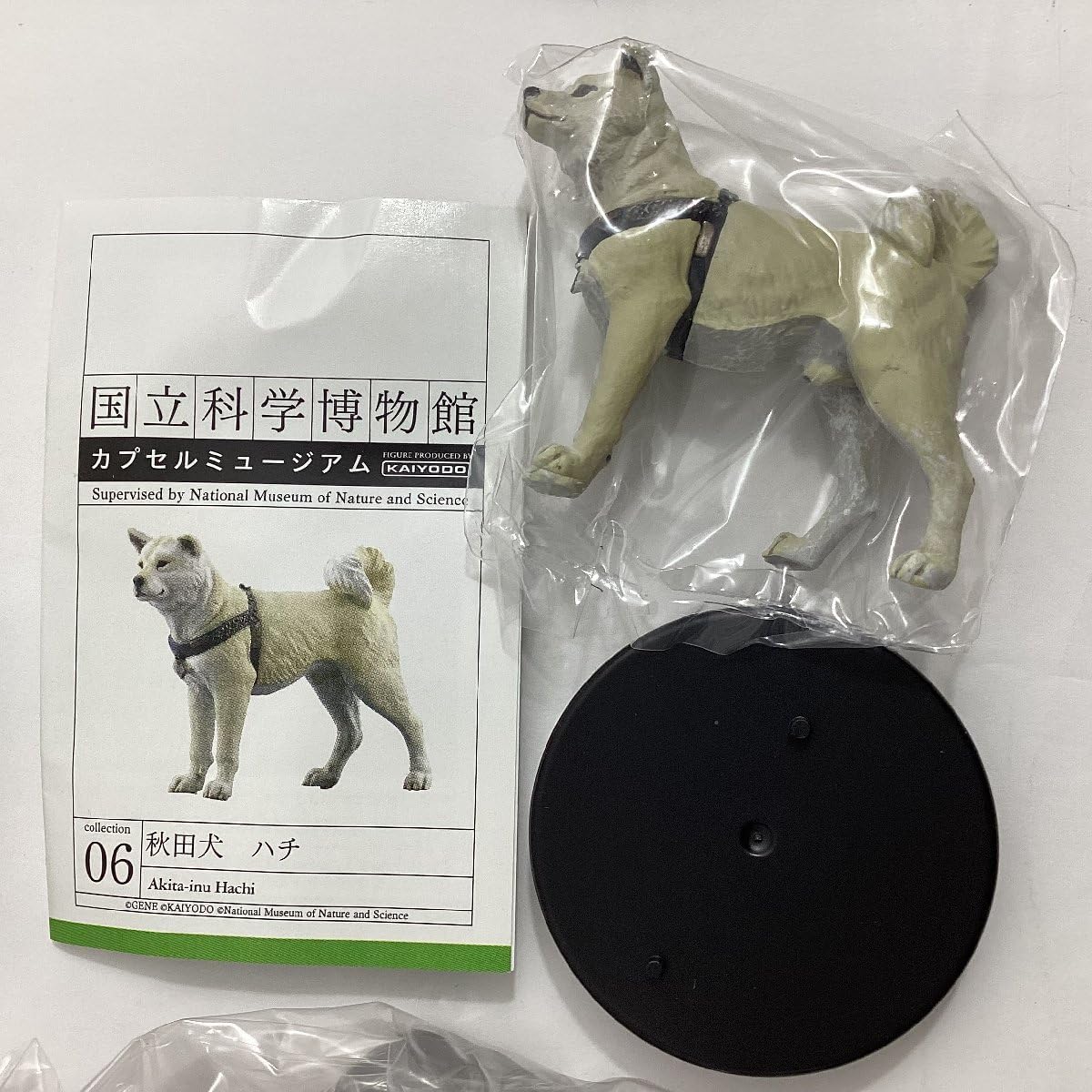 海洋堂 国立科学博物館 ショップ カプセルミュージアム 全9種セット