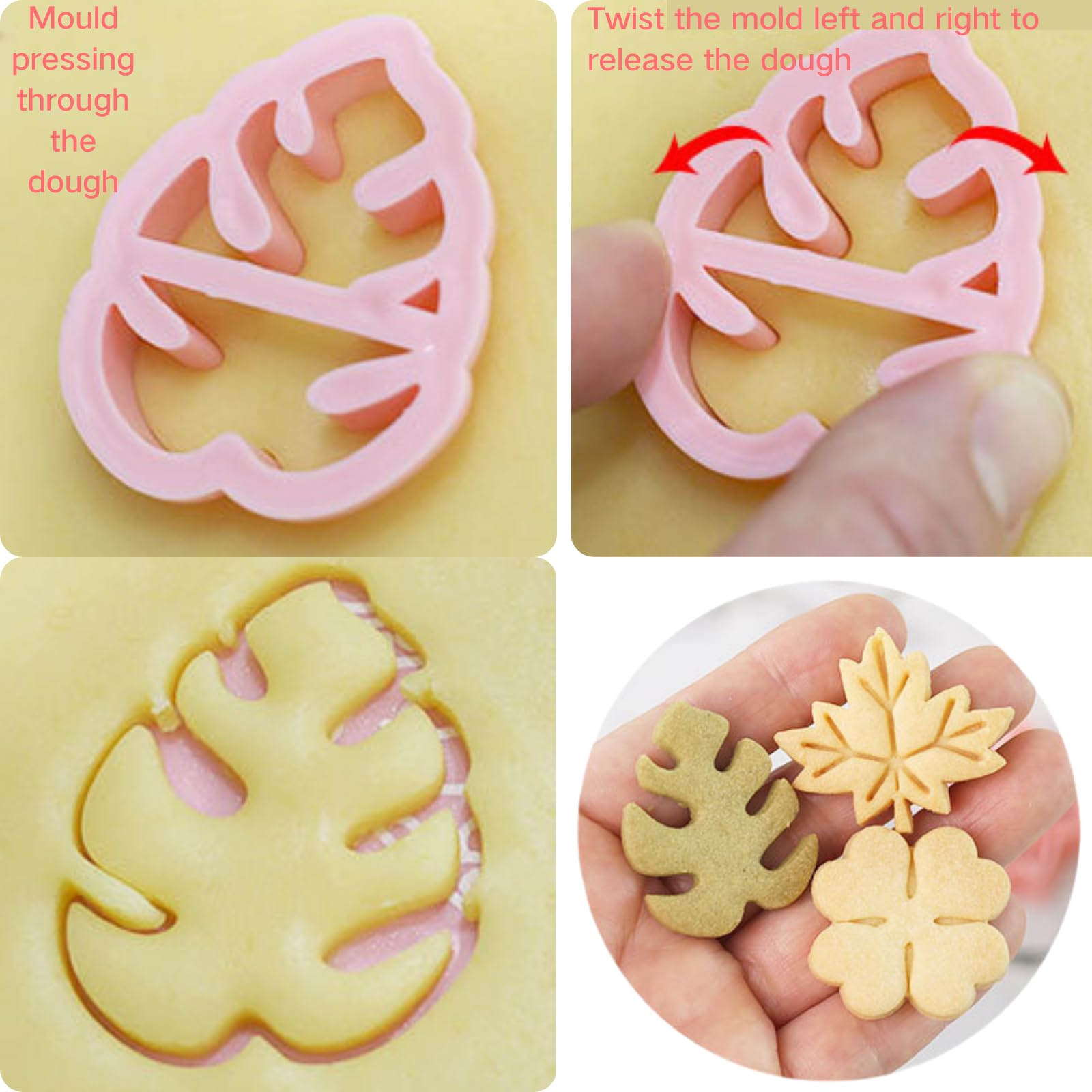 PTaizjjz Leaves Cookie Cutter Set,8 Leaf Shapes Cookie Fondant Biscui Cutters,Plastic Cutter for DIY Biscuit Cake Pastry Tools - Image 4