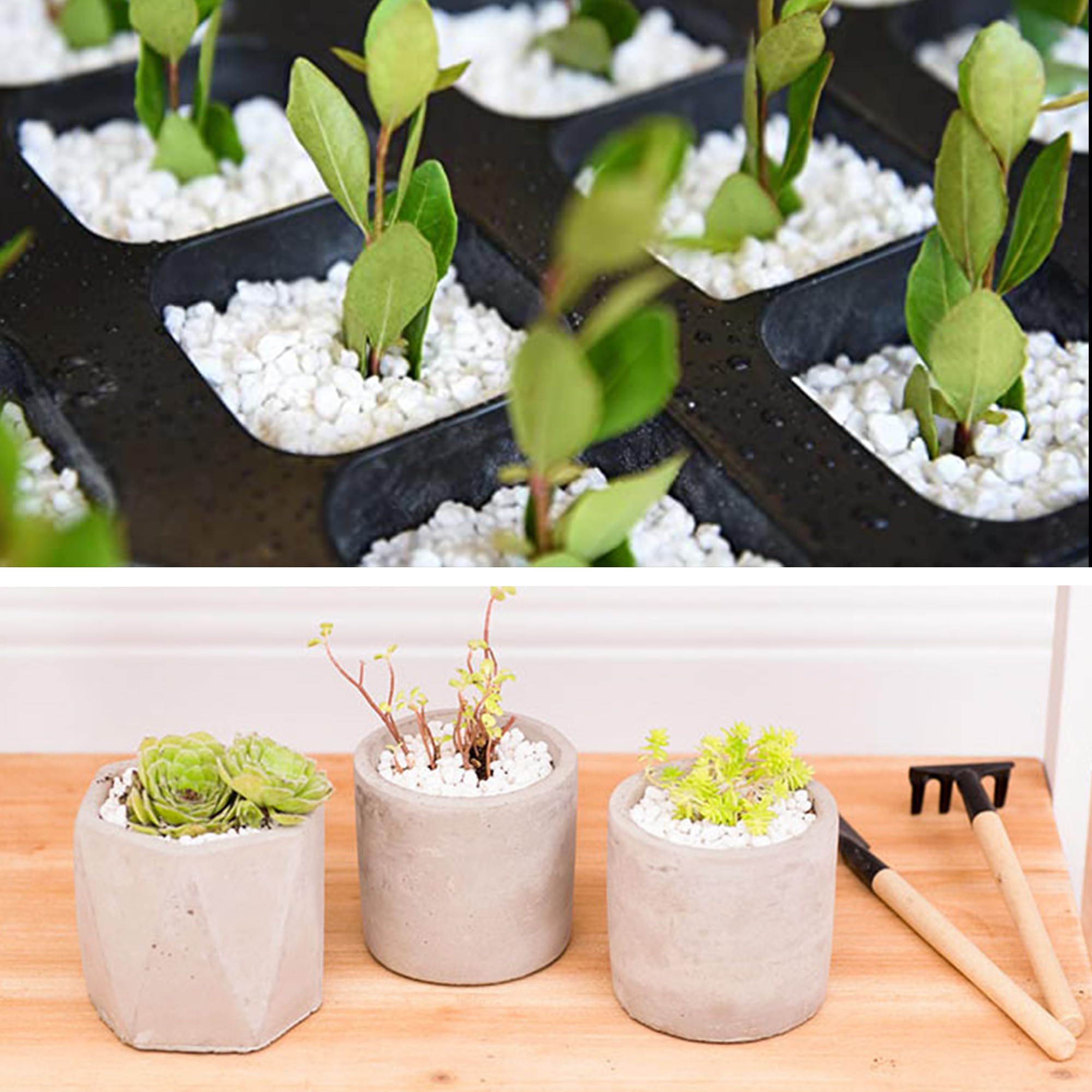Grava blanca de 45 libras de 1/4 pulgadas para suculentas, bonsái de cactus, terrario de bricolaje, jardinería de hadas, aderezo superior, acuario